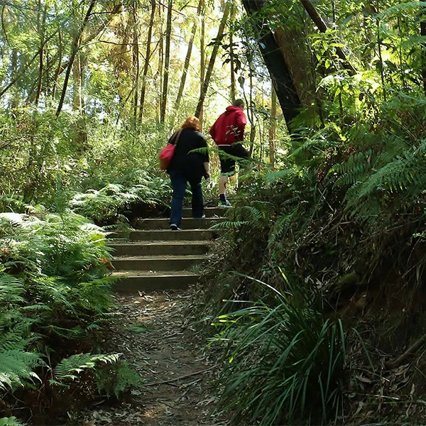 Eurobodalla Regional Botanic Garden Walking trails